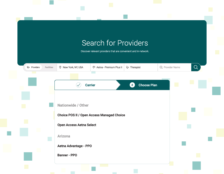 choose providers plan dashboard mock up browser